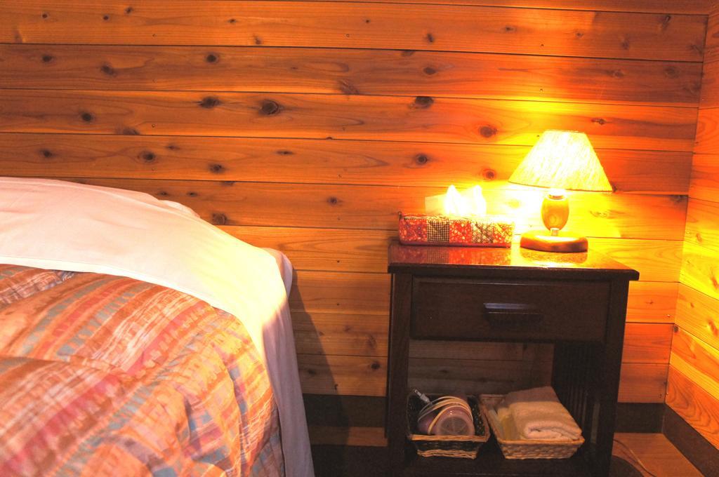Pension Ringo-No Ki Hakuba Rum bild